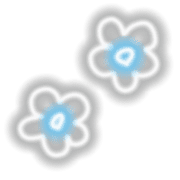 031