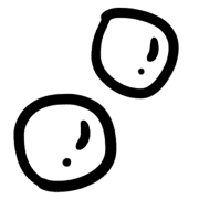 021