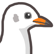 031