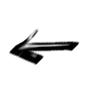 019