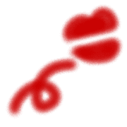 006