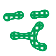 016