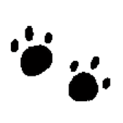 013