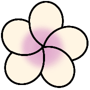 029