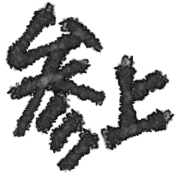 004