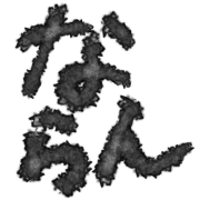 036