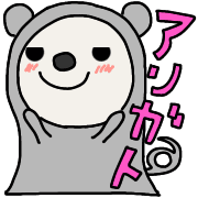 003