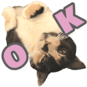 011
