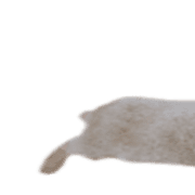 016