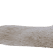 017
