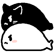 029
