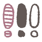 026