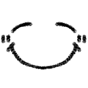 006