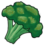 019