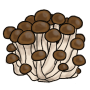 024