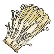 025