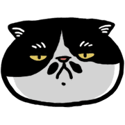 007