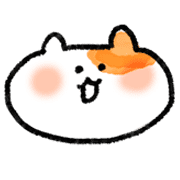 003