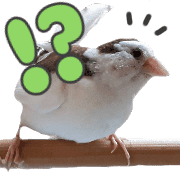 002