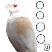 014