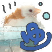 015