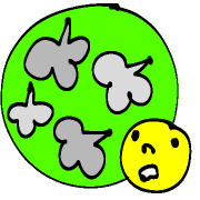 036