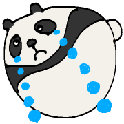 003