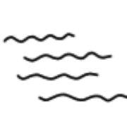 017
