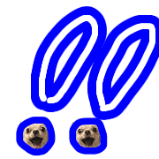 037
