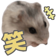 006
