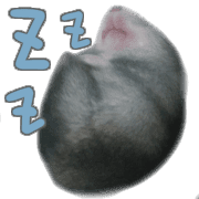 017