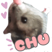 021