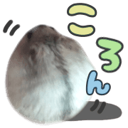 023