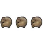 024