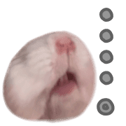 025