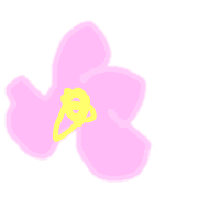 004
