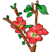 อิโมจิไลน์ Language of flowers by Emoji