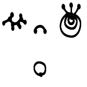 019
