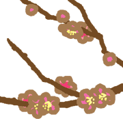 005