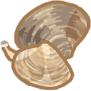 028