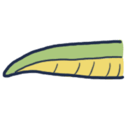 019