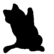 011