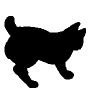 016