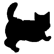 031