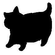 036