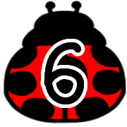 006