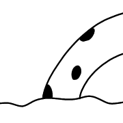 028