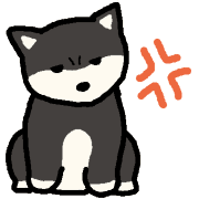 003