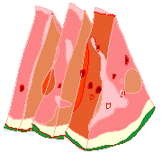 018