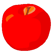 019